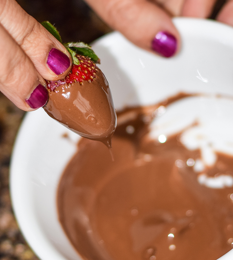 Chocolate covered Strawberry Treats