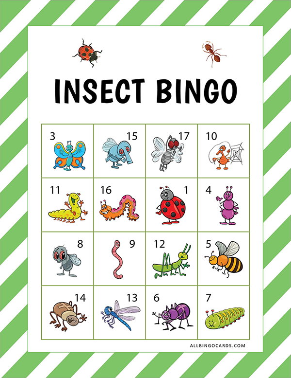 Insect Bingo Free Printable