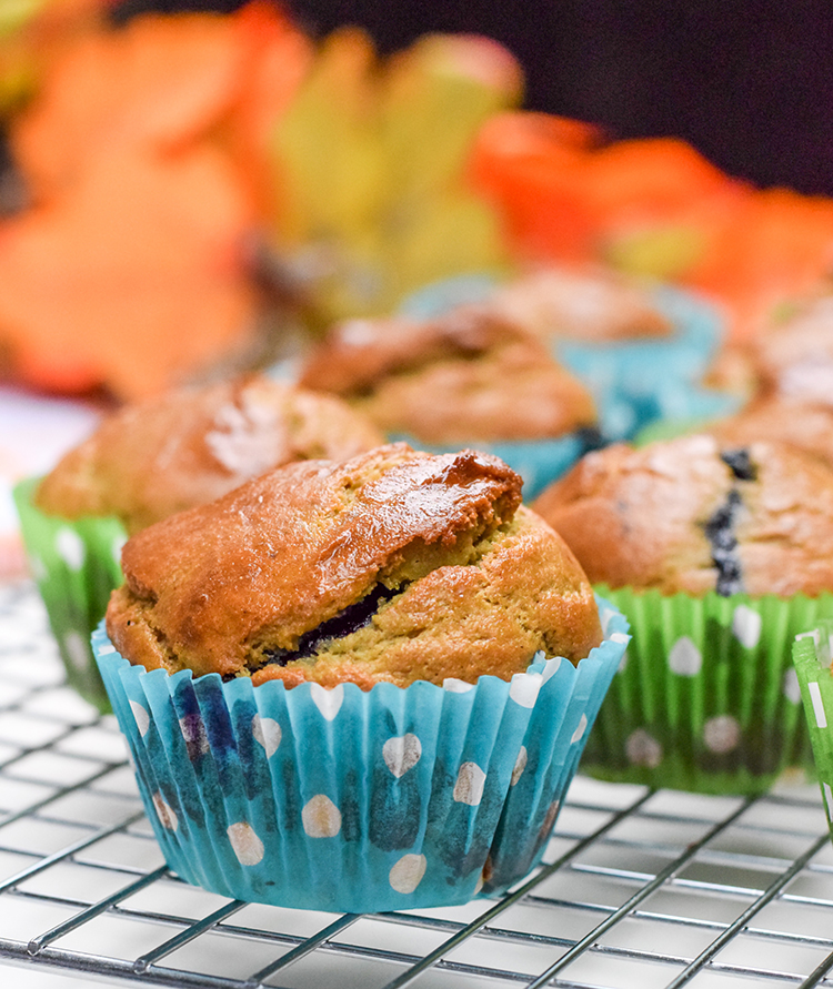 Blueberry Muffin Recipes for Kids